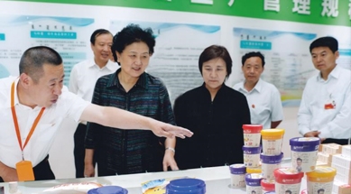 原中共中央政治局委員、國務院副總理劉延東視察我公司